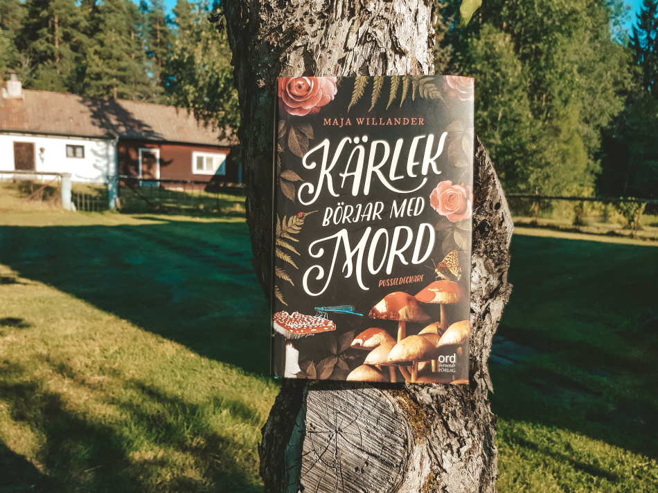 Kärlek börjar med mord